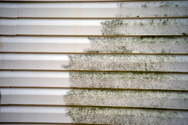 Best Furniture Removal  in Ridgway, PA