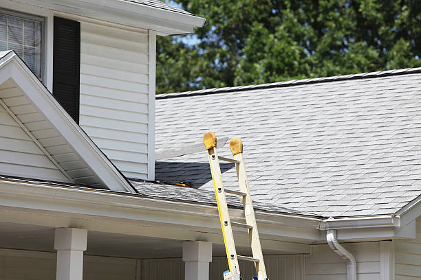 Best Construction Debris Removal  in Ridgway, PA